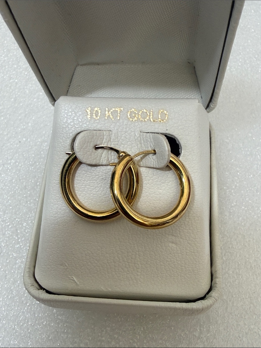 10K Resin Round Hoop Earrings